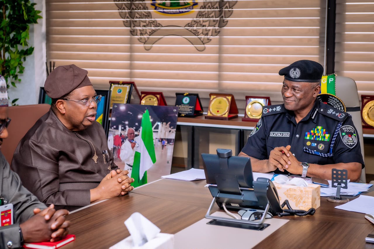 IGP Disu, Minister unite against vandals, energy theft