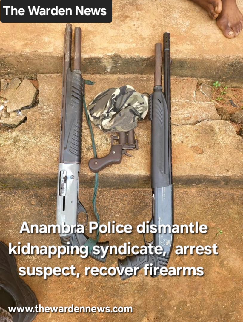 Anambra Police dismantle kidnapping syndicate,  arrest suspect, recover firearms